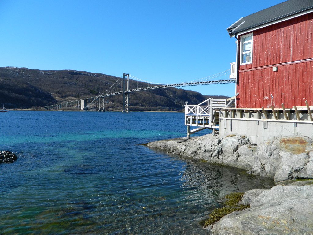 Tästä leirin rannasta pääsee sukeltamaan, ellei halua lähteä kauemmas. Eikä siihen välttämättä ole tarvetta.