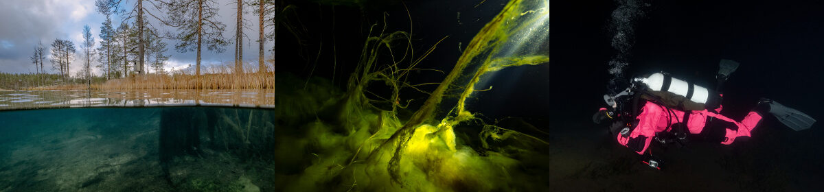 Oulun Urheilusukeltajat ry